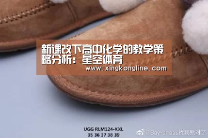新课改下高中化学的教学策略分析：星空体育