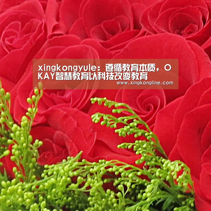 xingkongyule：遵循教育本质，OKAY智慧教育以科技改变教育(图3)
